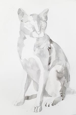 Genial Zeichnen - Tiere - Katzen mit Tusche und Japanpinsel zeichnen - Copyright Maja Oschmann