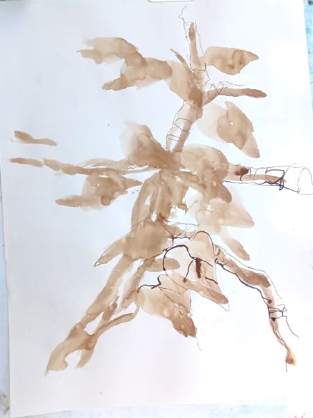 Genial-Zeichnen - Sommerzeichnen - Vorortkurs - Karlsaue - Kassel - Bildcopyright - Christin Amtsfeld