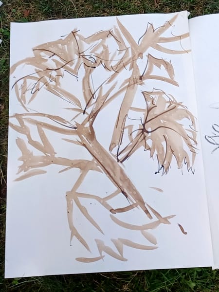 Genial-Zeichnen - Sommerzeichnen - Maja Oschmann - Vorortkurs - Karlsaue - Kassel - Bildcopyright - Eva Schreiber